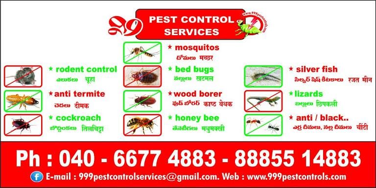 999 pest control services near basheerbagh in hyderabad - Photo No.8