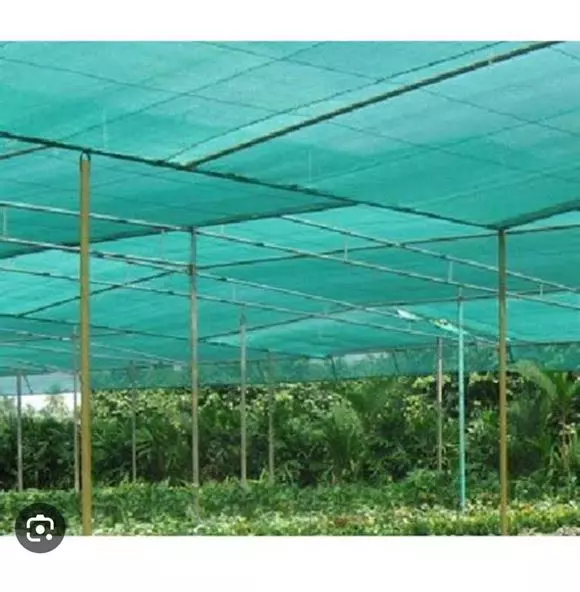 ashok safety nets karmanghat in hyderabad - Photo No.31