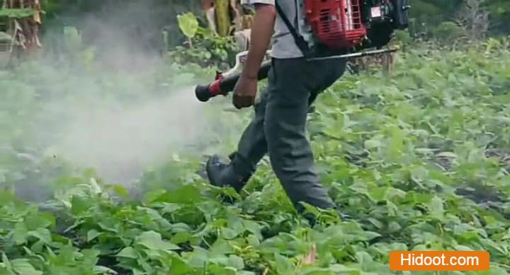 reddorkins pest control services near new bhoiguda in hyderabad - Photo No.8