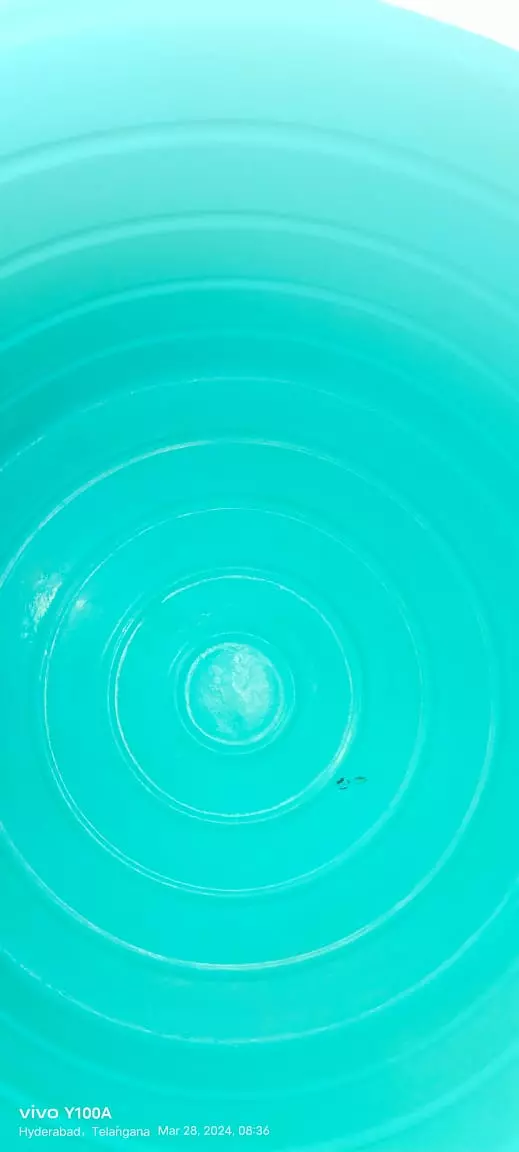 Sri Dattatreya Material Lifting Rn Reddy Nagar In Hyderabad - Photo No. 41