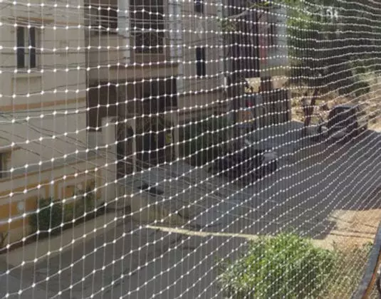 salmon safety nets karmanghat in hyderabad - Photo No.13