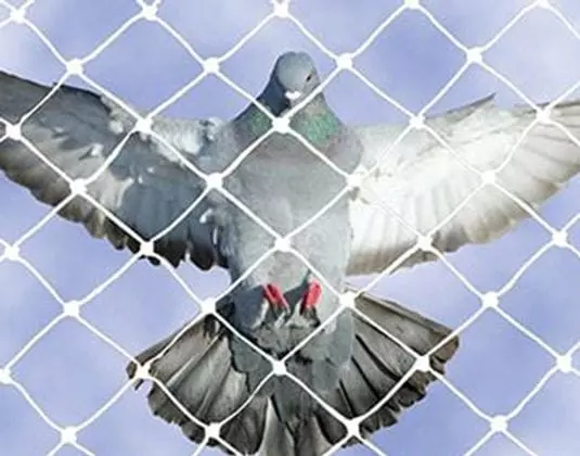 salmon safety nets karmanghat in hyderabad - Photo No.9