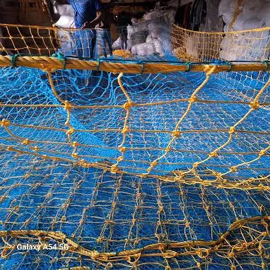 salmon safety nets karmanghat in hyderabad - Photo No.24