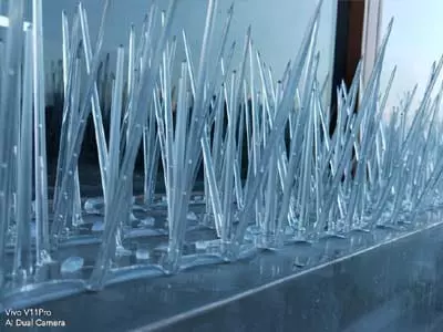 salmon safety nets karmanghat in hyderabad - Photo No.20