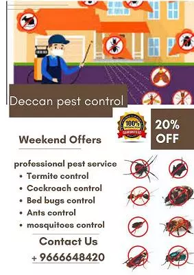 deccan pest control lakdikapool in hyderabad - Photo No.18