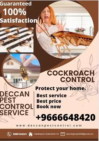 deccan pest control lakdikapool in hyderabad - Photo No.14