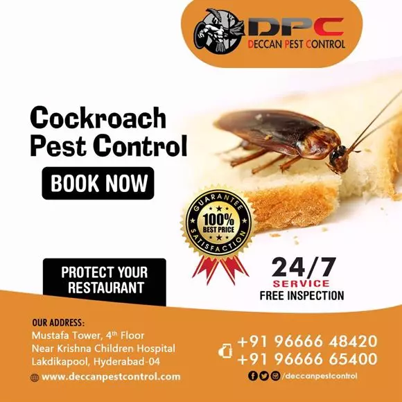 deccan pest control lakdikapool in hyderabad - Photo No.8