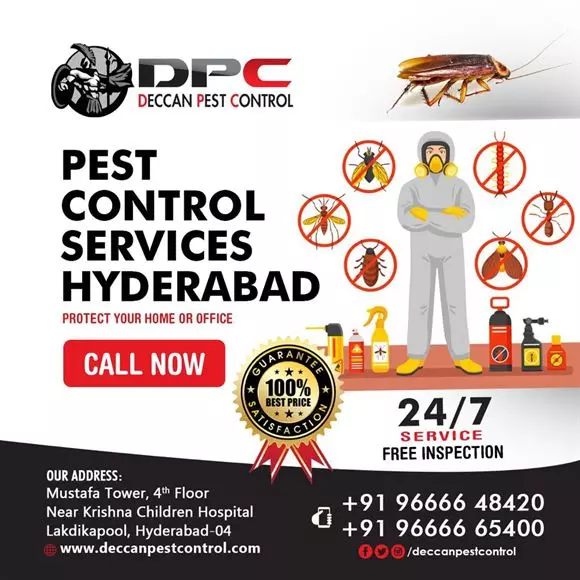 deccan pest control lakdikapool in hyderabad - Photo No.7