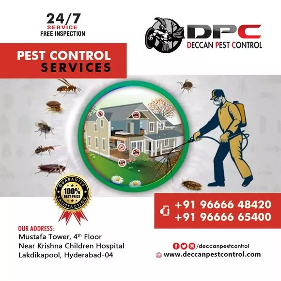 deccan pest control lakdikapool in hyderabad - Photo No.3