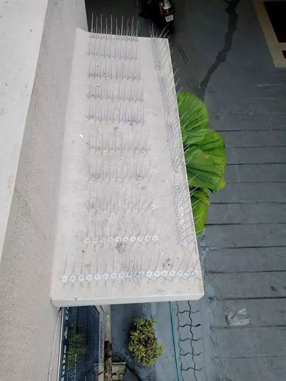 manjunatha safety nets karmanghat in hyderabad - Photo No.12