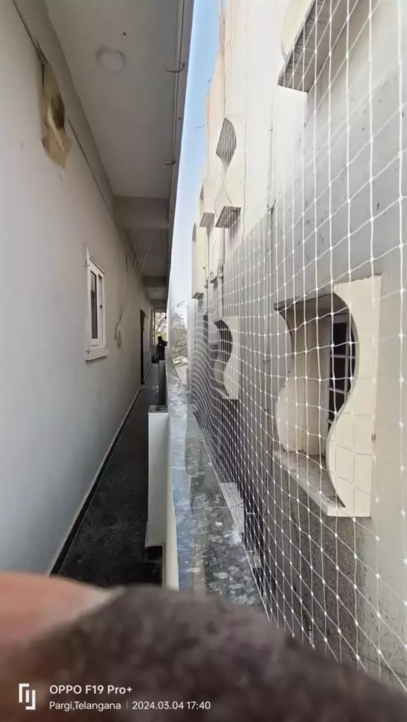 ribka safety nets amberpet in hyderabad - Photo No.1