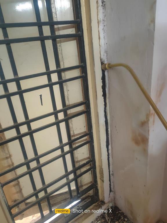 jc pest control service secunderabad in hyderabad - Photo No.10