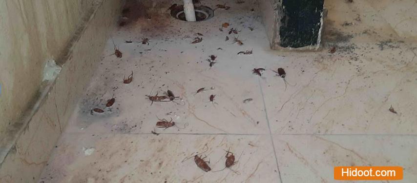 999 pest control services near basheerbagh in hyderabad - Photo No.22