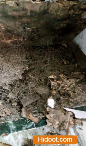 Srichakra Pest Control Services Near Jafferguda In Hyderabad - Photo No. 81