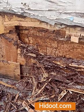 Srichakra Pest Control Services Near Jafferguda In Hyderabad - Photo No. 31