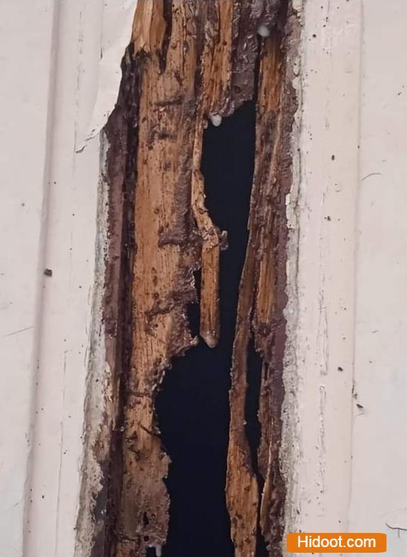 Srichakra Pest Control Services Near Jafferguda In Hyderabad - Photo No. 11