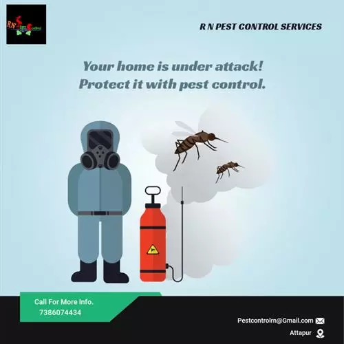 rn pest control services rajendra nagar in hyderabad - Photo No.9