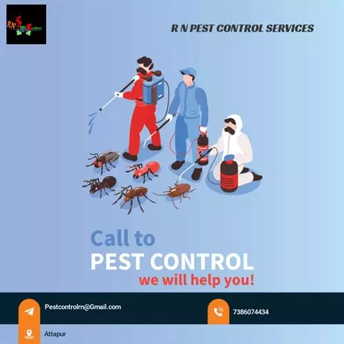 Photos Hyderabad 992023100334 rn pest control services rajendra nagar in hyderabad 11.webp