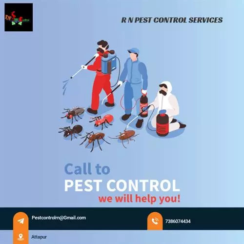rn pest control services rajendra nagar in hyderabad - Photo No.10