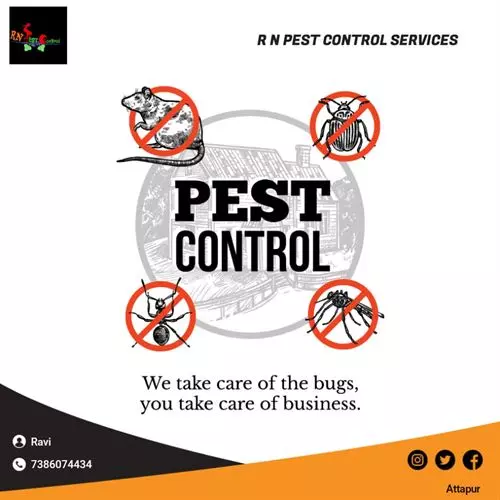 rn pest control services rajendra nagar in hyderabad - Photo No.8
