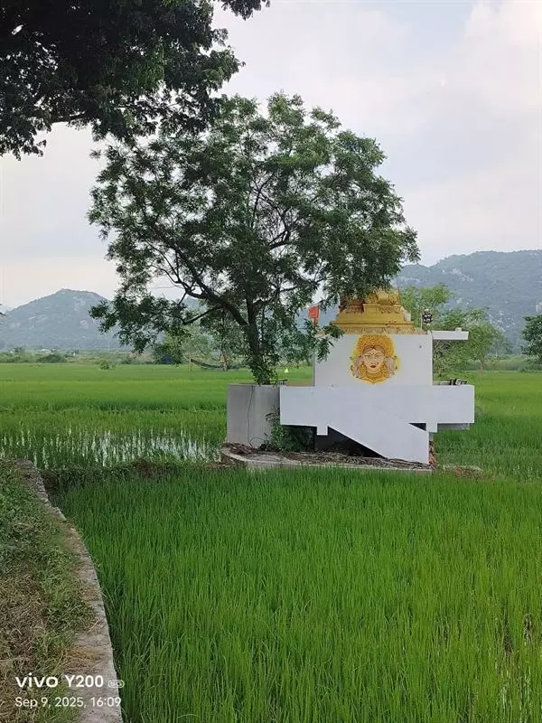 sri lakshmi prasanna nanaji travels bus stand in kakinada - Photo No.7