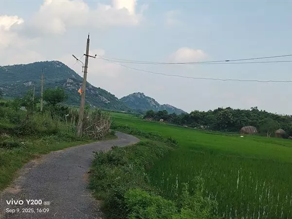 sri lakshmi prasanna nanaji travels bus stand in kakinada - Photo No.6