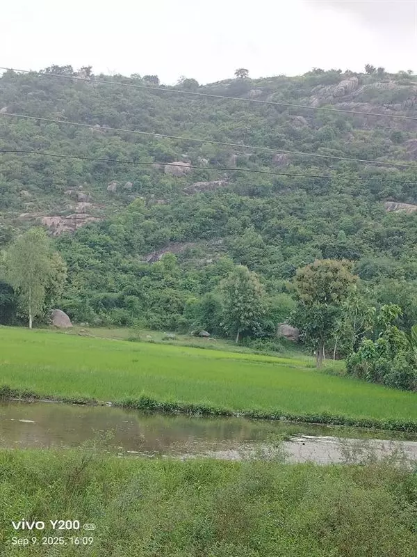 sri lakshmi prasanna nanaji travels bus stand in kakinada - Photo No.5