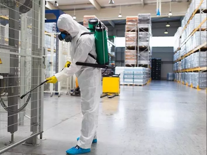 ss pest control services ram nagar in karimnagar - Photo No.12