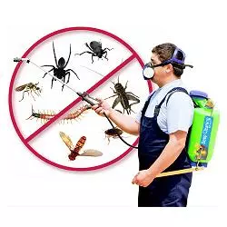 ss pest control services ram nagar in karimnagar - Photo No.11
