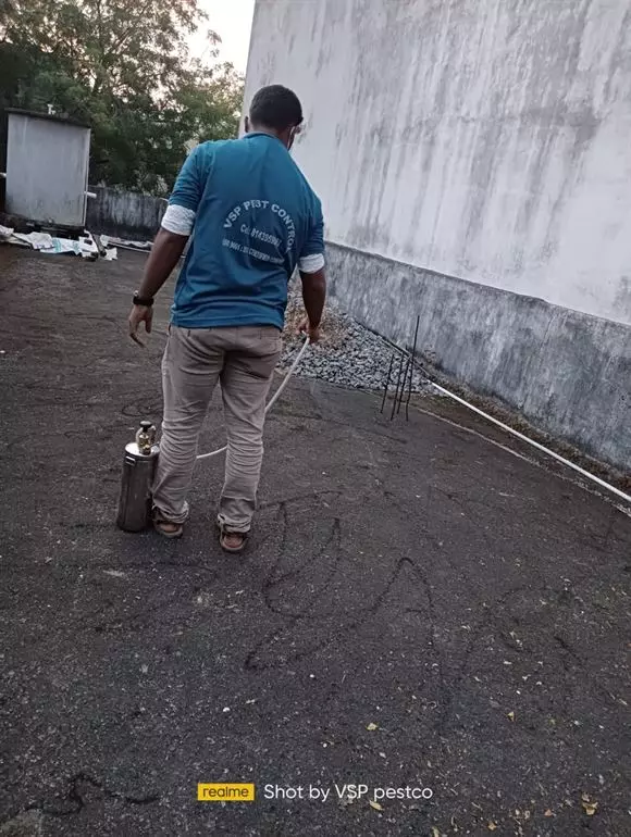 vsp pest control gandhi chowk in khammam - Photo No.10