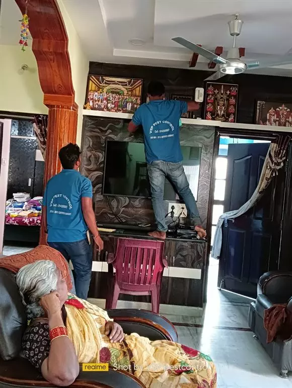 vsp pest control gandhi chowk in khammam - Photo No.1