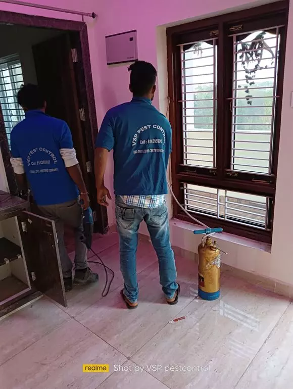 vsp pest control gandhi chowk in khammam - Photo No.5