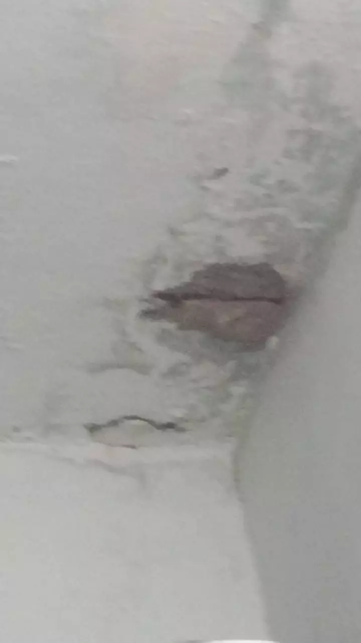 chaitra engineering systems ballepalli in khammam - Photo No.29