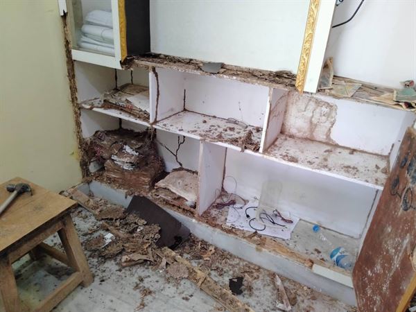 maruthi pest control main road in kothagudem - Photo No.2