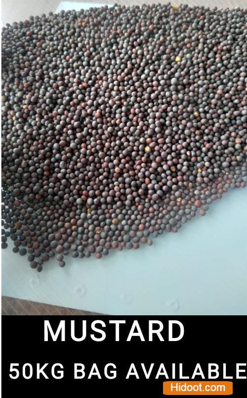 star groceries food grocery itemss near krishna nagar in kurnool ap - Photo No.3