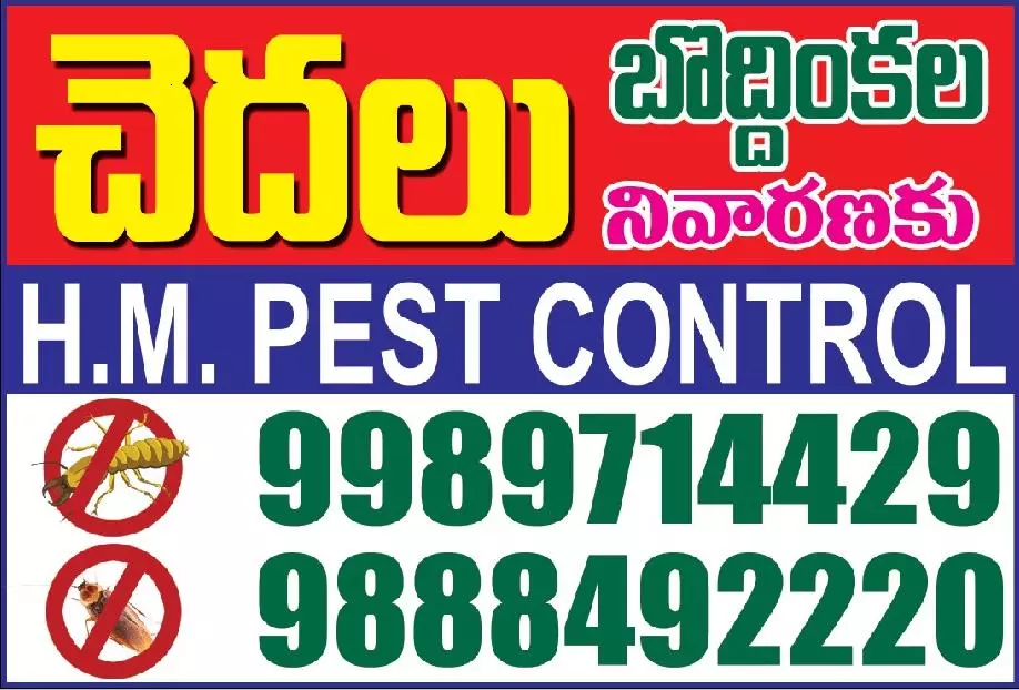 hm pest control pest control services near vital nagar in kurnool - Photo No.4