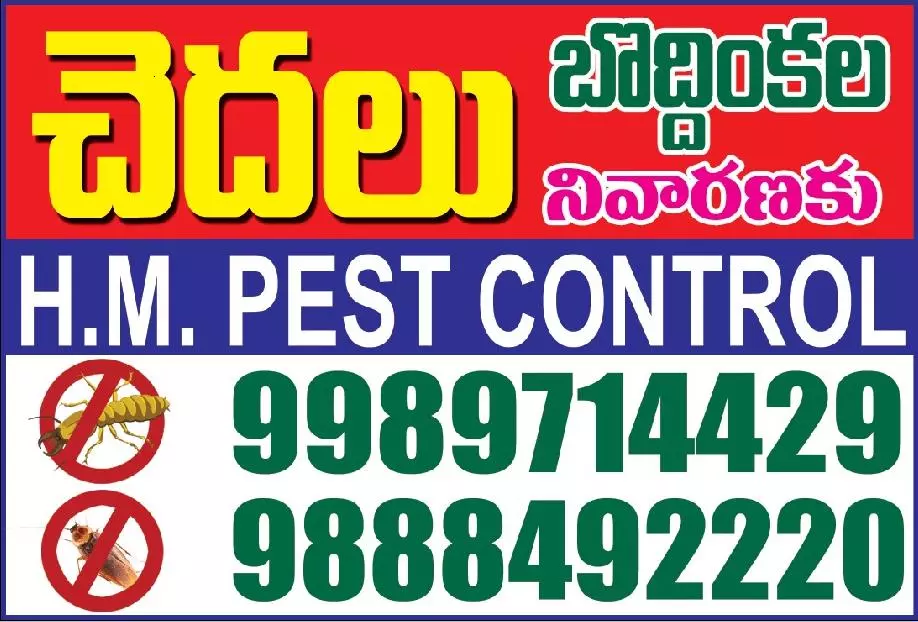 hm pest control pest control services near vital nagar in kurnool - Photo No.6
