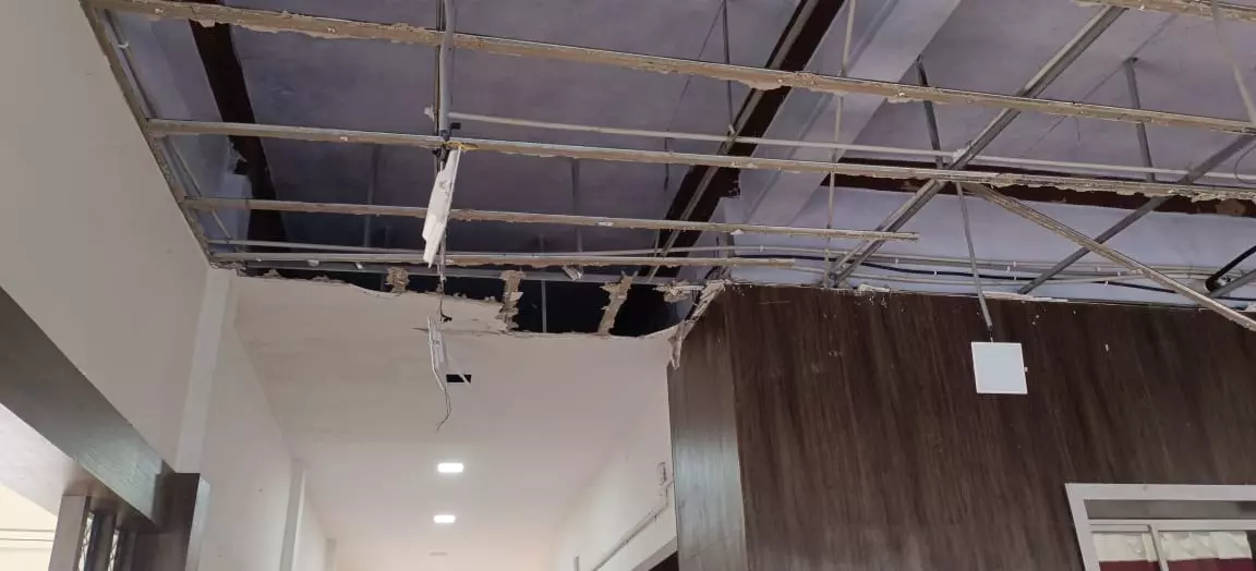 hm pest control pest control services near vital nagar in kurnool - Photo No.7