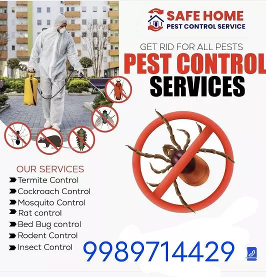 hm pest control pest control services near vital nagar in kurnool - Photo No.2