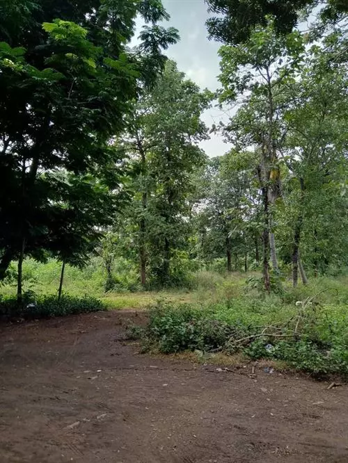 ramakrishna realestate kovur in nellore - Photo No.1