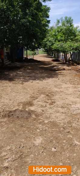 visalakshi old age home golagamudi in nellore andhra pradesh - Photo No.11