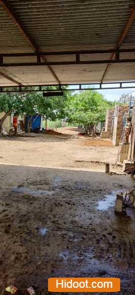 visalakshi old age home golagamudi in nellore andhra pradesh - Photo No.10