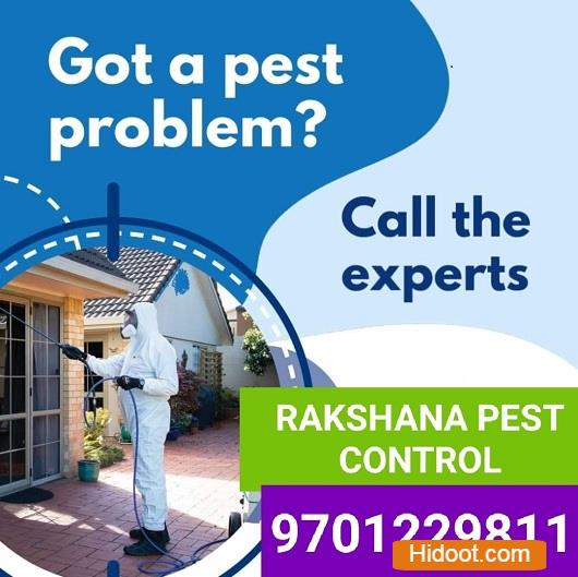 rakshana pest control services near bank colony in nizamabad - Photo No.14