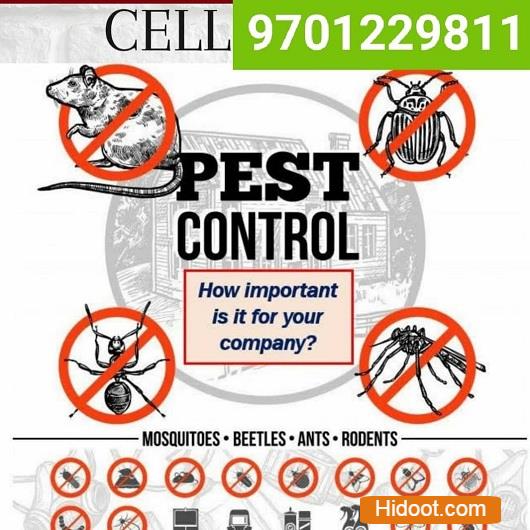 rakshana pest control services near bank colony in nizamabad - Photo No.13