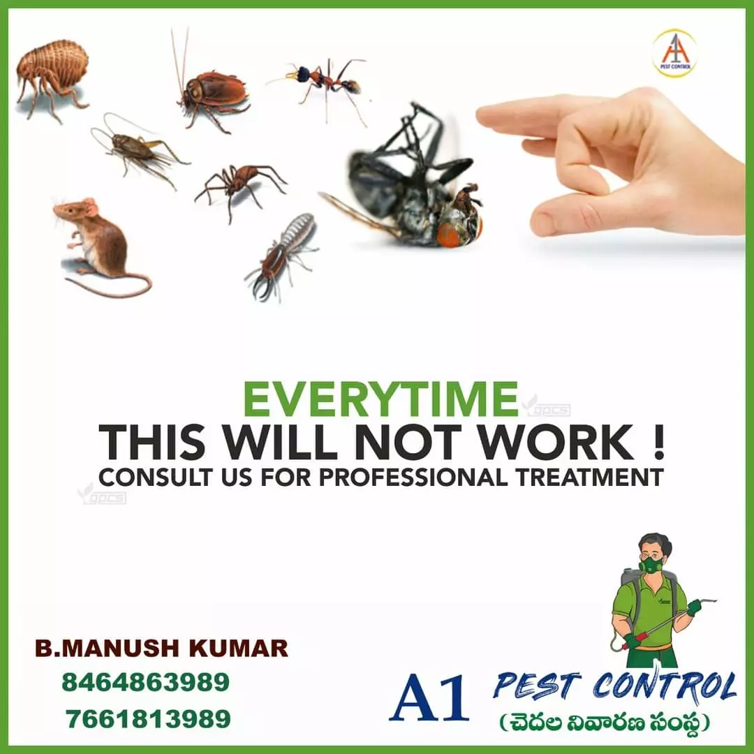 a1 pest control services near kurnool road in ongole - Photo No.10