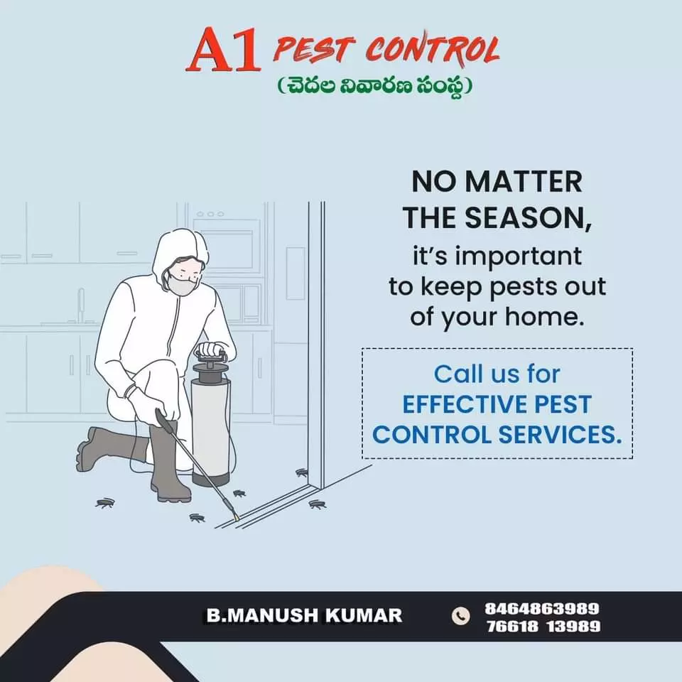 a1 pest control services near kurnool road in ongole - Photo No.11