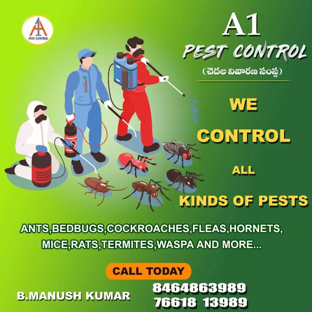a1 pest control services near kurnool road in ongole - Photo No.12