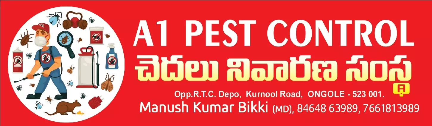 a1 pest control services near kurnool road in ongole - Photo No.7