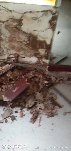 sneha pest control gopal nagar in ongole - Photo No.3