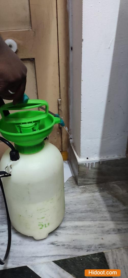 kk pest control services near lawyer pet in ongole - Photo No.9